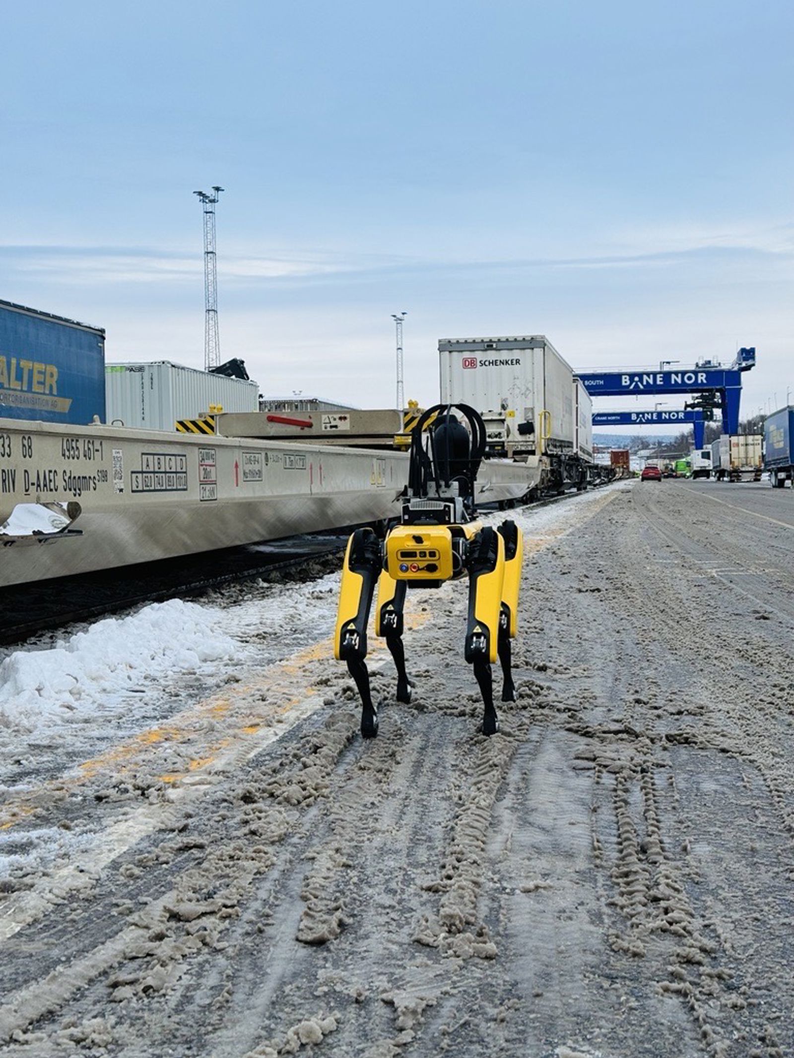 Gul robothund på godsterminal